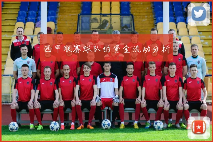 西甲联赛球队的资金流动分析