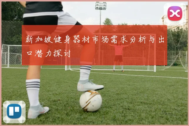 新加坡健身器材市场需求分析与出口潜力探讨