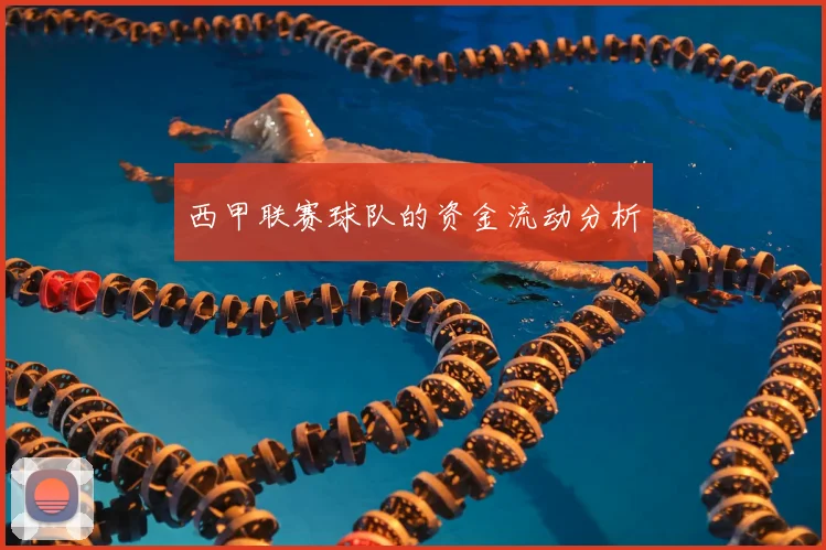 西甲联赛球队的资金流动分析